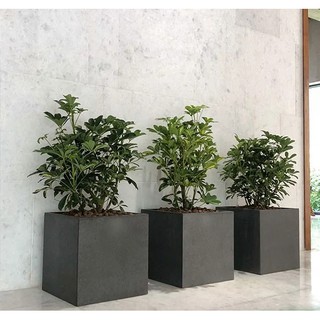 Chậu Fiber Trồng Cây Cao Cấp Hình Vuông (34x34x34cm) Trồng Cây Cảnh, Hoa Kiểng, Cây Văn Phòng - Hàng VNXK