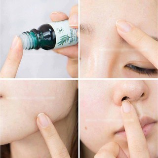 Tinh Dầu Tràm Trà - Tea Tree Oil