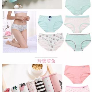 Set 7 quần chip cotton cực xinh