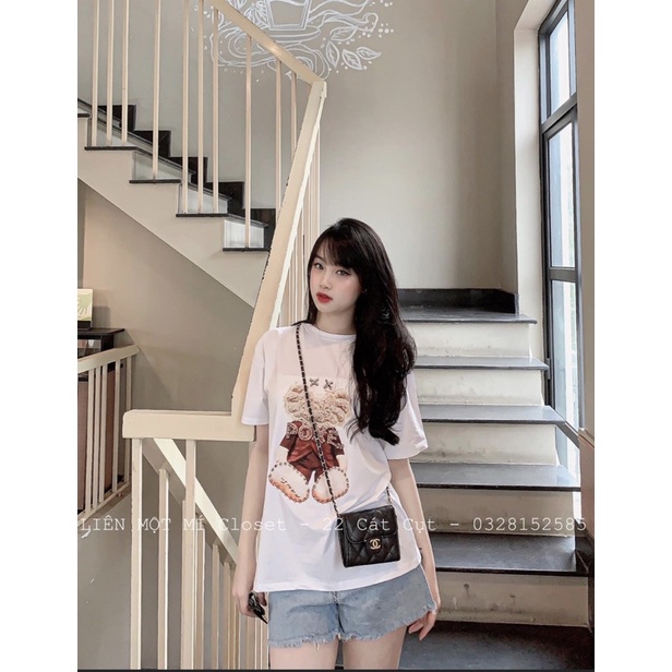 Áo phông gấu áo đỏ TT11
