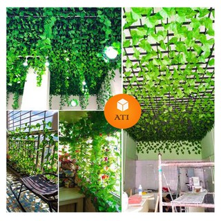 DÂY LÁ NHO SIZE LỚN CUỐN XANH CHIỀU DÀI 2,3 - 2,5m