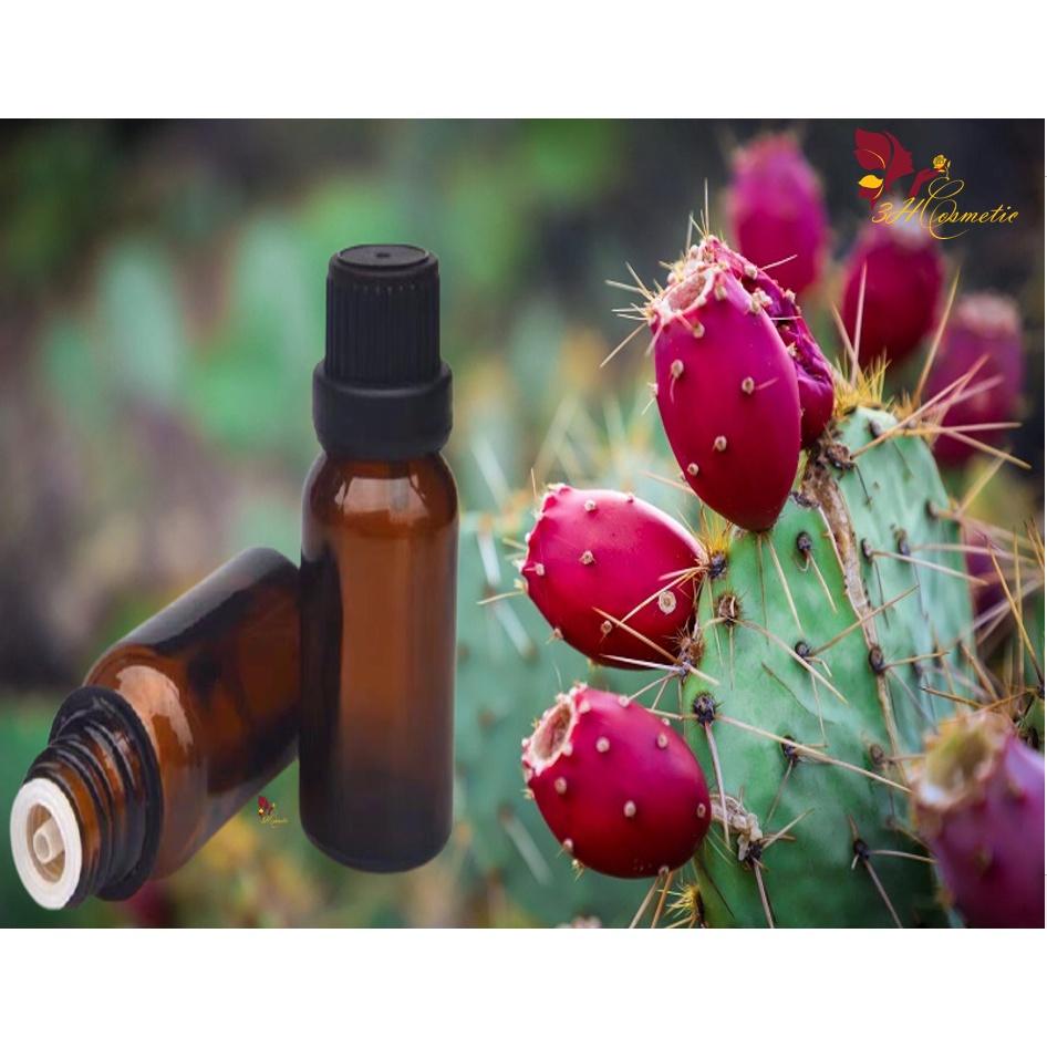 CHIẾT XUẤT XƯƠNG RỒNG | BigBuy360 - bigbuy360.vn