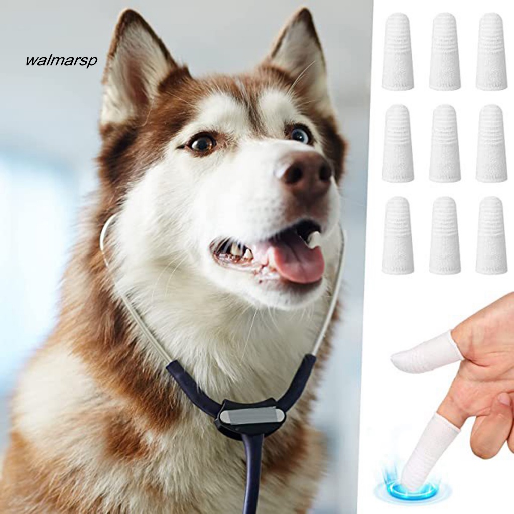 Bàn Chải Đánh Răng Mini Đeo Ngón Tay Làm Sạch Răng Cho Thú Cưng