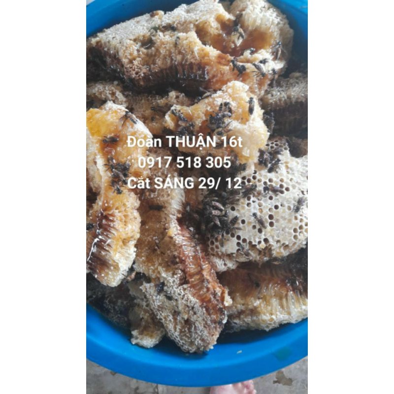 1 kg Mật ong rừng U Minh Nguyên sáp