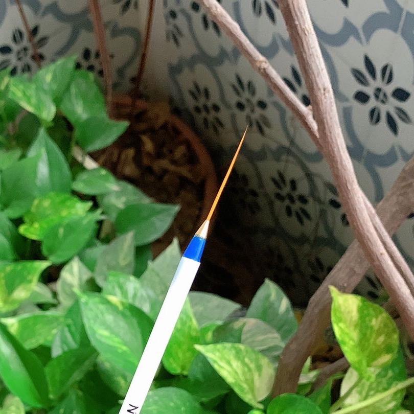 Cọ nét lông dài hàng rẻ vẽ thích