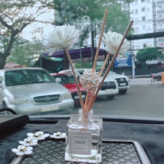 Nước hoa cây gỗ khuếch tán