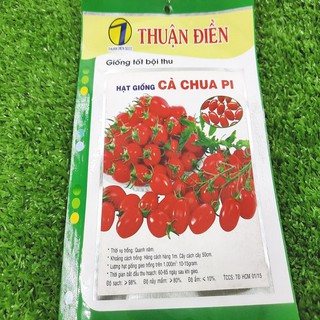 Cà Chua Pi ( Trái oval ) - Thuận Điền (1gram)
