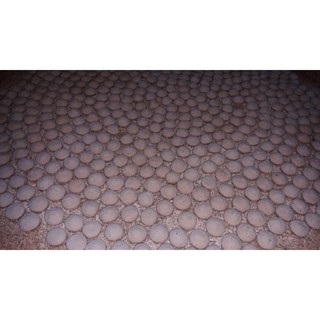 Men ngọt ,men cơm ruoi BàMy tháibinh,4 cái làm 1,6kg gạo
