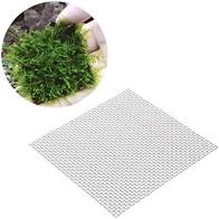 Vỉ inox dùng để buộc rêu, ráy, bucep