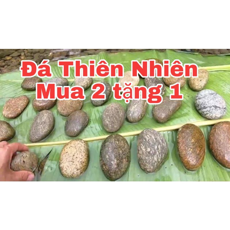 Đá kỳ tẩy da chết từ thiên nhiên (siêu nhám