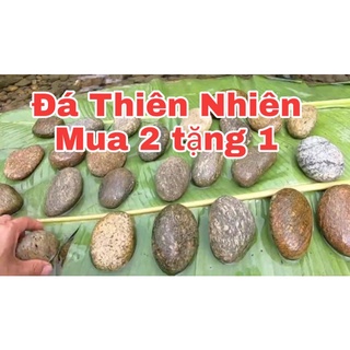 Đá kỳ tẩy da chết từ thiên nhiên (siêu nhám