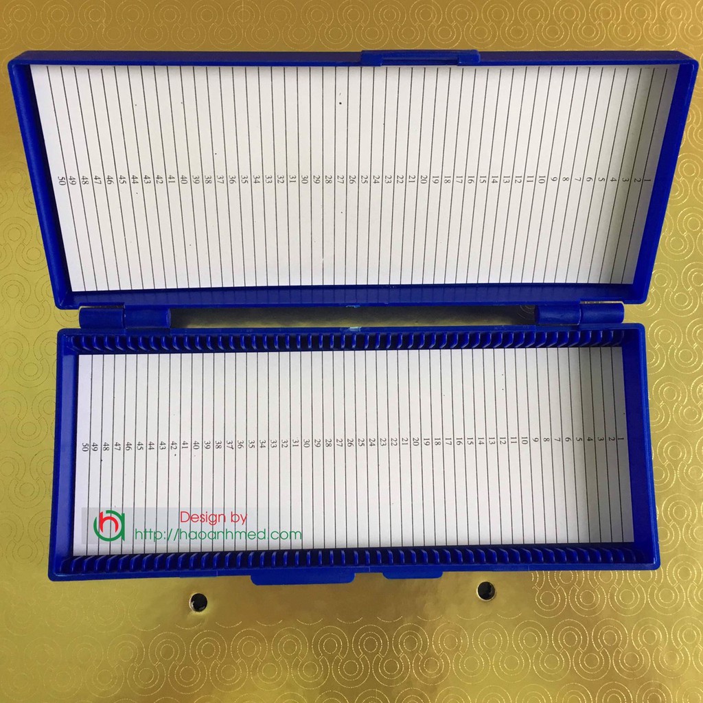 Hộp đựng lam kính 100- 50 vị trí [ Giá Rẻ ]
