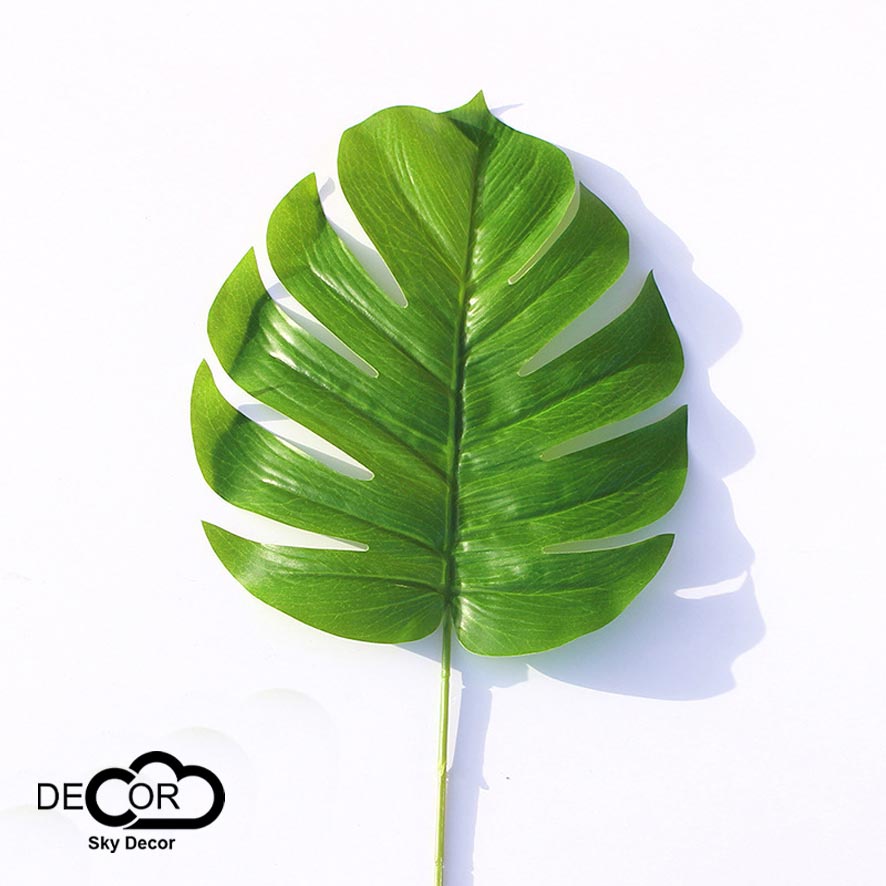Lá giả Sky Decor, lá cọ tròn, Monstera, sake, trầu bà - Lá xẻ Nam Mỹ trang trí nhà cửa, đạo cụ chup ảnh