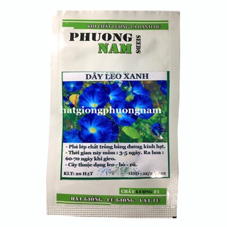 Hạt Giống Bìm bìm