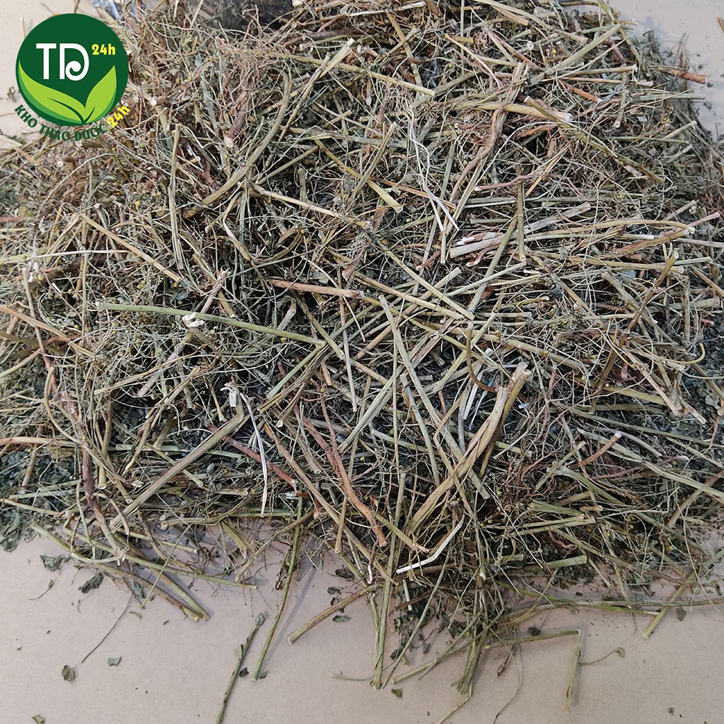 Diệp Hạ Châu - Chó đẻ răng cưa - [500 gram]