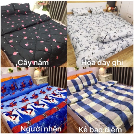 Bộ Chăn Phao Ga Gối PoLy Nhập MẪU HH34R