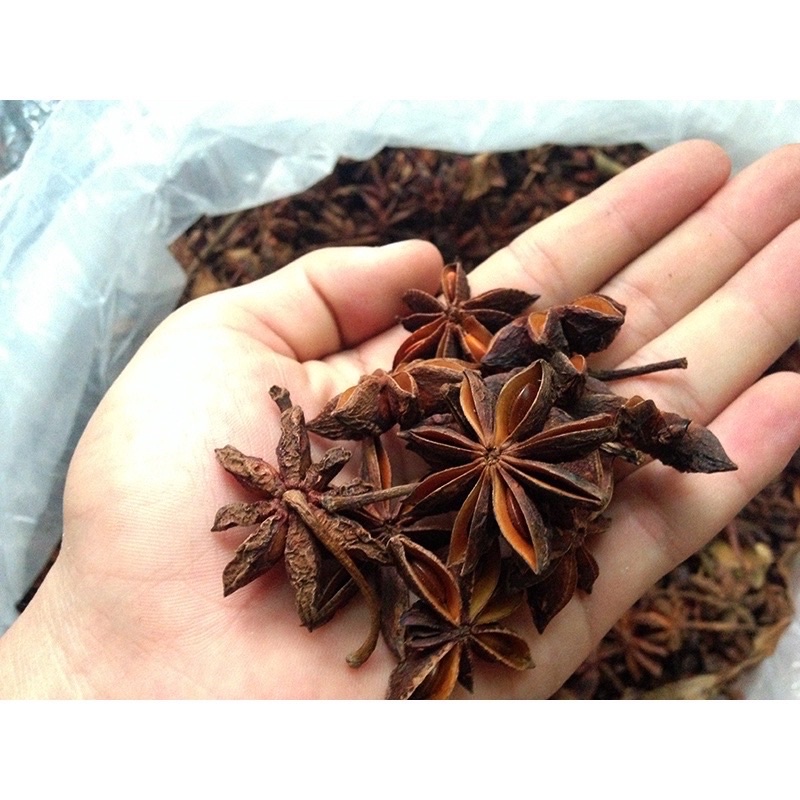 Tinh dầu hồi nguyên chất 100% handmade - Lọ 10ml