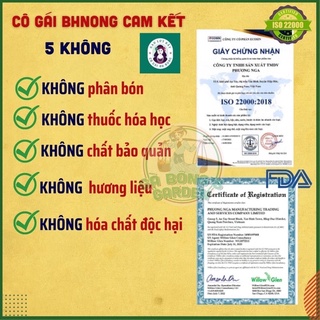 Trà gạo lứt rang mộc Bh.nong