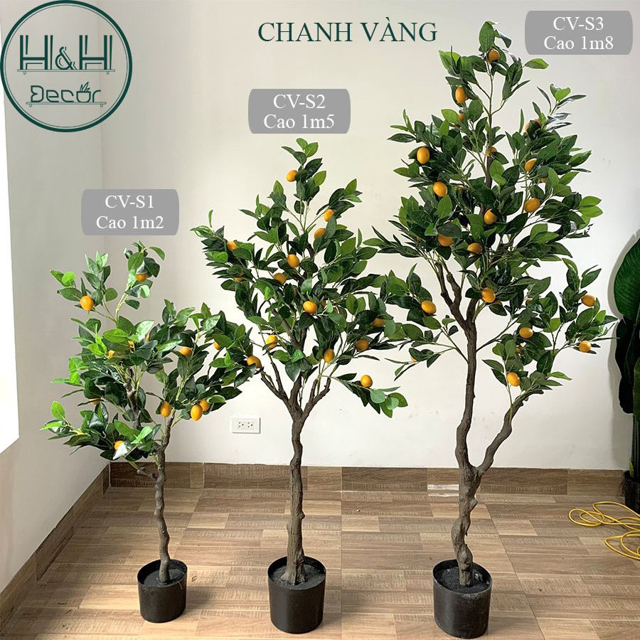Cây Giả Decor Trang Trí - Cây Chanh Vàng - Ảnh Thật Shop Chụp