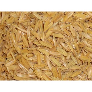 Vỏ trấu trồng cây, cải tạo đất(500g) được rất nhiều.