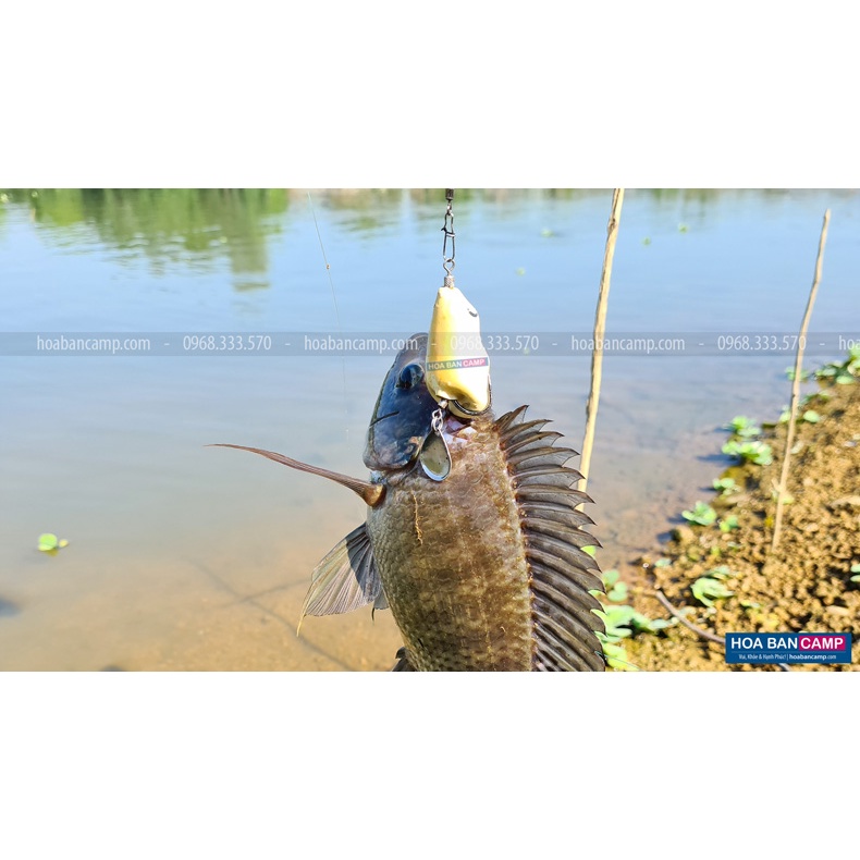 Mồi Lure Nhái Hơi TNQ – T1 8g  & T3 13g