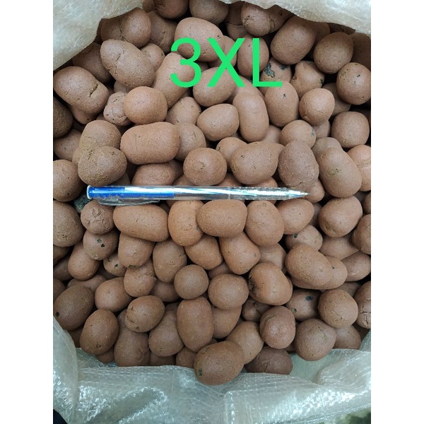 Viên Đất Sét Nung POPPER - Gói 1 Lít - Giá Thể Trồng Xương Rồng, Sen Đá, Hoa Lan, Sứ, Thủy Canh, Lọc Hồ Cá