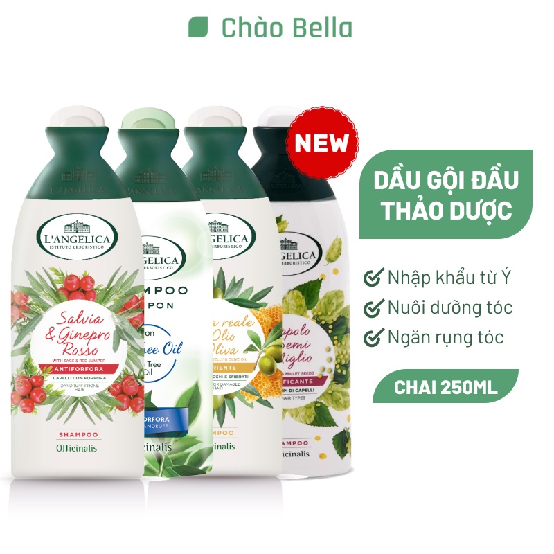 Dầu Gội Thảo Dược Cao Cấp Nhâp Khẩu Ý L'Angelica | Dưỡng Tóc, Sạch Gàu, Ngăn Rụng Tóc, Thơm Lâu Trên Tóc (250ml)