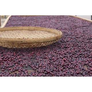 Bột Cà Phê Phin Robusta 500g - DẠ VŨ