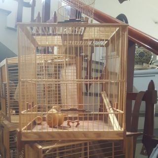 Lồng gỗ chào mào