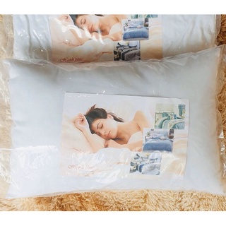 Gối hơi cao cấp , ruột gối hơi nằm ngủ 40x60, 50x70