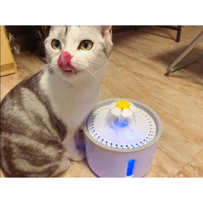 Máy uống nước tự động cho mèo hình tròn - bản có đèn LED Xanh