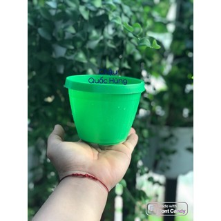 Combo 5-10 Chậu trồng cây 9cm x 8cm chậu cây mini/tiểu xương rồng/sen đá chậu nhựa thương hiệu Quốc Hùng