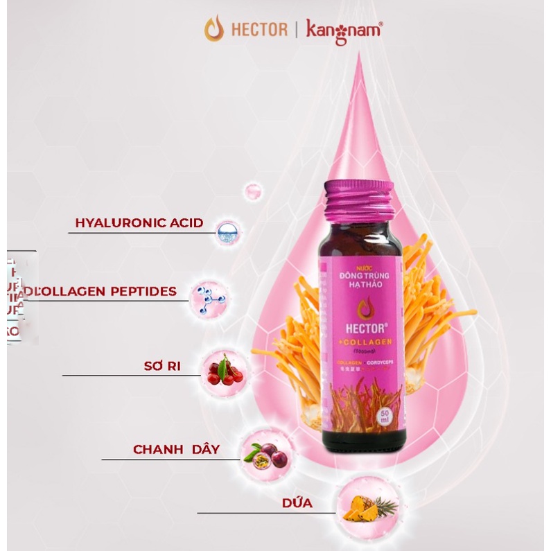 (CHÍNH HÃNG) Nước Đông Trùng Hạ Thảo Hector Collagen Cordyceps Collagen, sáng da, mờ nám, hộp 10 chai x 50ml