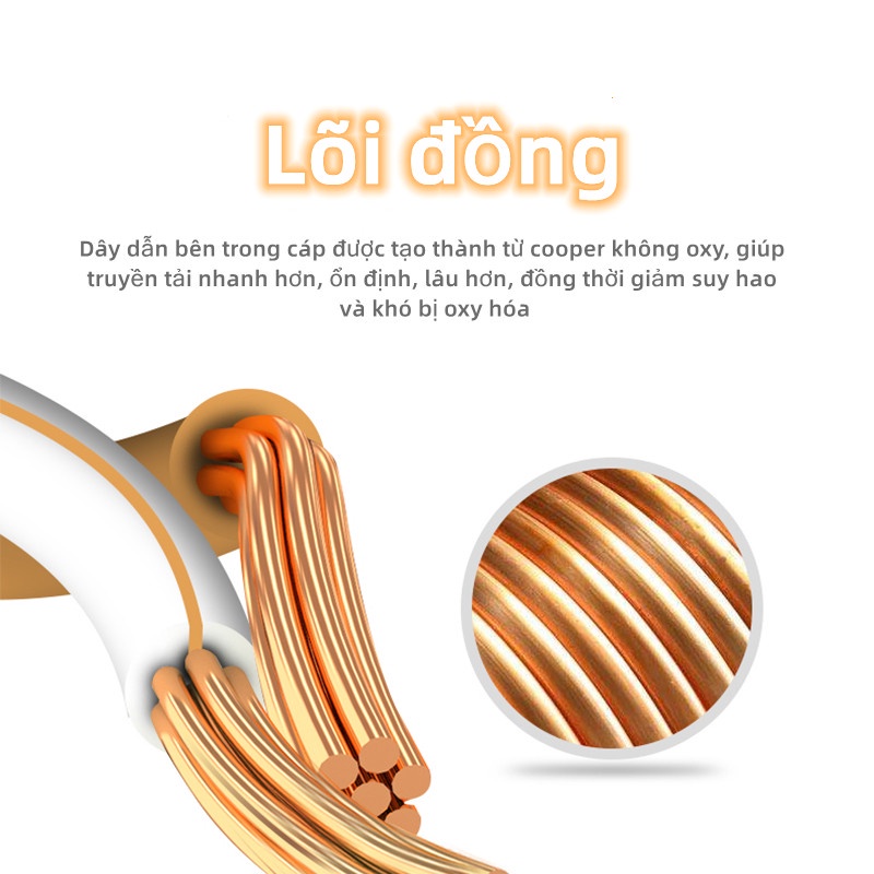 Dây Cáp Mạng Dây Cáp Internet Bấm Sẵn 2 Đầu CAT6  10M 15M 20M 30M Thiết Bị Mạng Loại tốt - Điện Việt