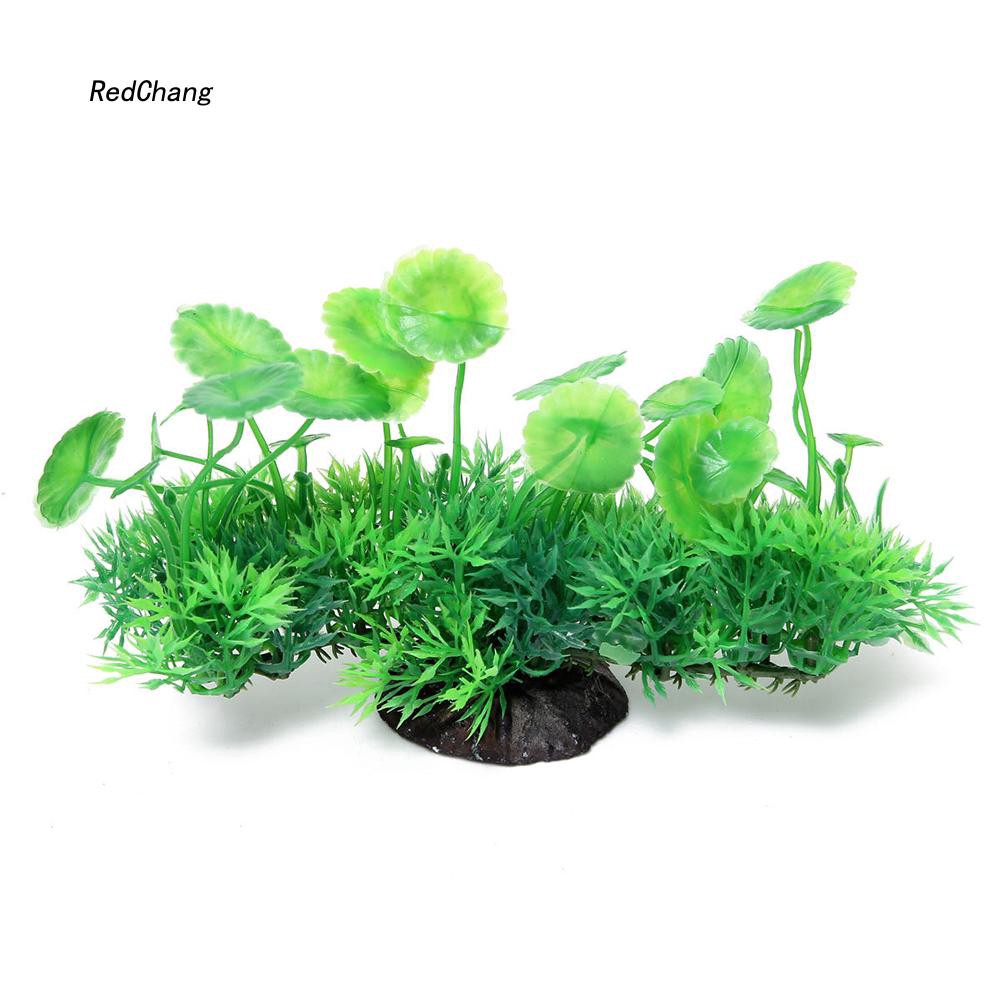 Cây cỏ nhân tạo màu sắc tươi sáng dùng để trang trí bể cá