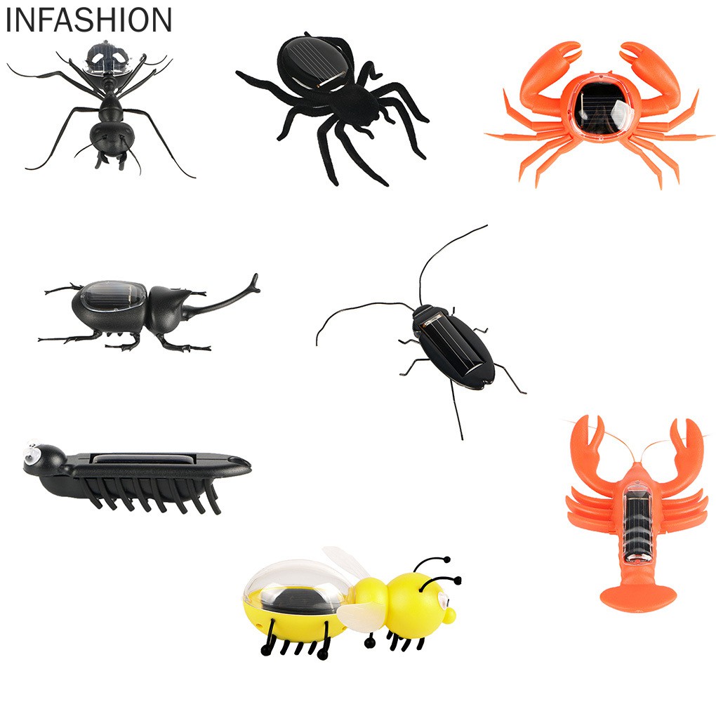 Con Gián Đồ Chơi Sử Dụng Năng Lượng Mặt Trời Cho Bé