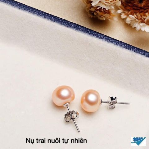 Bông nụ, nụ bạc gắn trai nuôi cao cấp, khuyên bạc bibi silver
