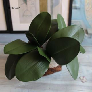 Gốc lá hoa lan trang trí