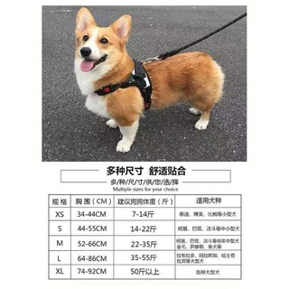 Dây xích cho chó, lưng đeo trước ngực, lông lớn và trung bình, Labrador, đồ dùng thú cưng, mull kéo cưng Brashid