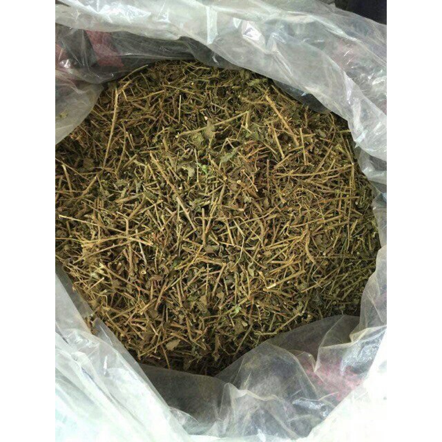 CÀ GAI LEO HOÀ BÌNH NGUYÊN CHẤT bổ gan 2kg