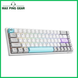 Bàn phím cơ AKKO 3068B Multi-modes Silent (Bluetooth 5.0 / Wireless 2.4Ghz / Hotswap / Foam tiêu âm / AKKO CS Jelly sw)