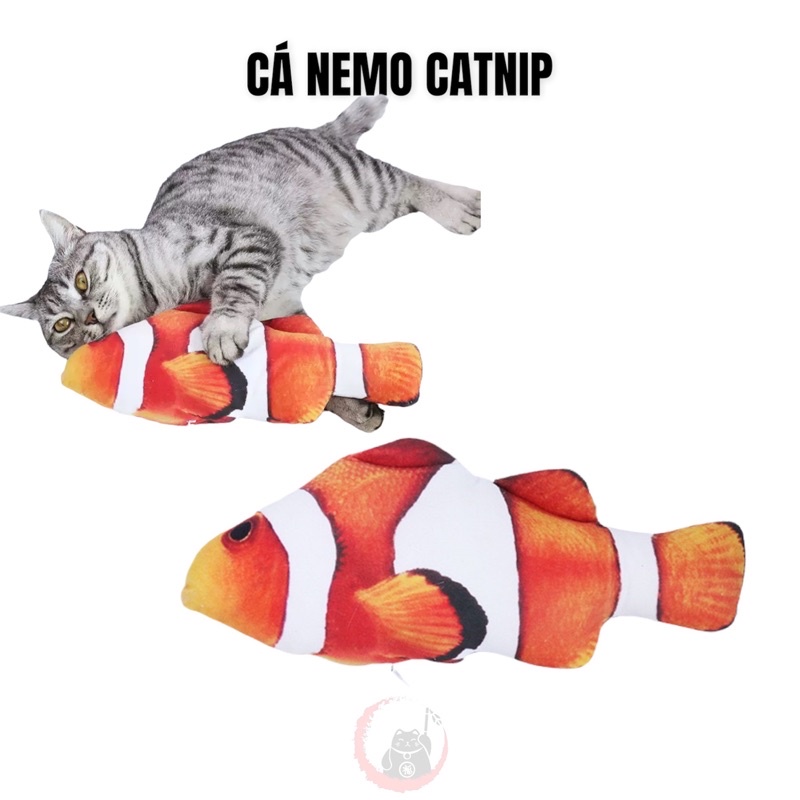 Cá nhồi bông catnip