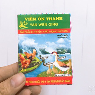 COMBO VIÊM ÔN THANH VÀ FLOSAL D