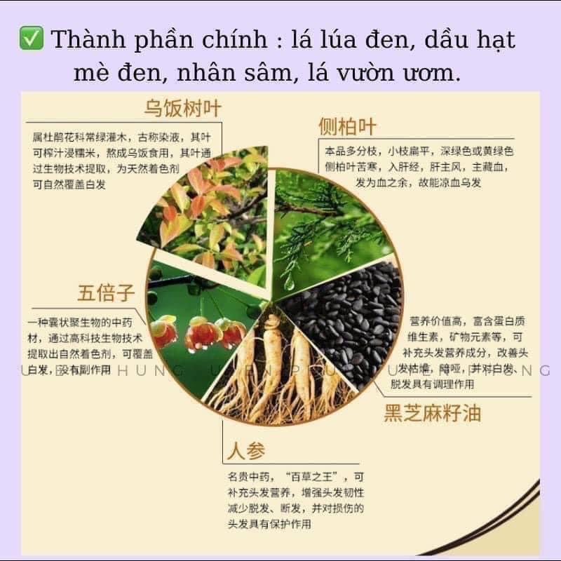 Dầu Gội Phủ Bạc Tóc Meidu Tinh Chất Thảo Dược Thiên Nhiên 500ML