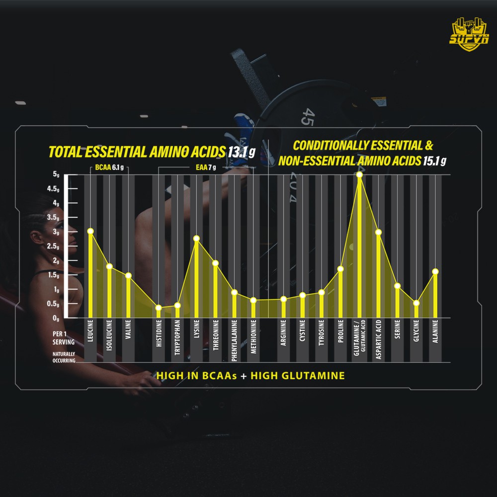 Whey hydropure hydrolyzed - Sữa tăng cơ giảm mỡ whey protein 100% thủy phân 4.5lbs