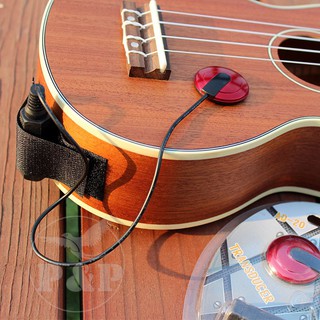 Pickup Đàn Guitar Adeline Ad-20