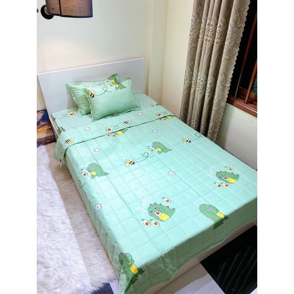 Ga Trải Giường Và 2 Vỏ Gối cotton poly cao cấp hàng loại 1