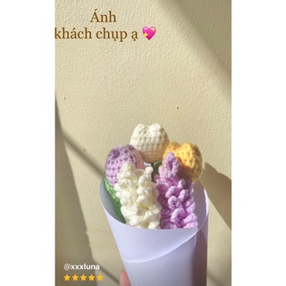 HOA TULIP, LAVENDER BẰNG LEN (HANDMADE)(ẢNH THẬT)