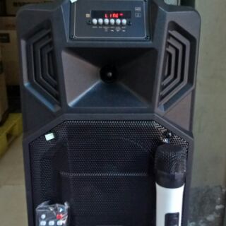 LOA 2 TẤC RONAMAX V8