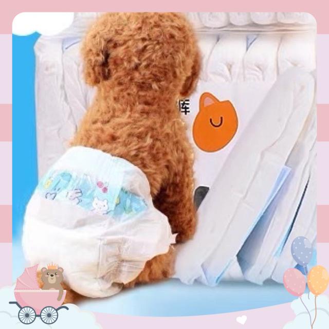 Tả cho chó đực - cái